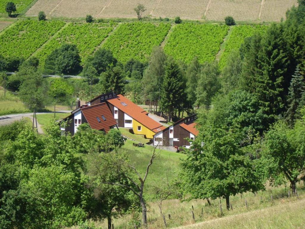 Hotel Typ Fuchsbau Schmallenberg Exterior foto